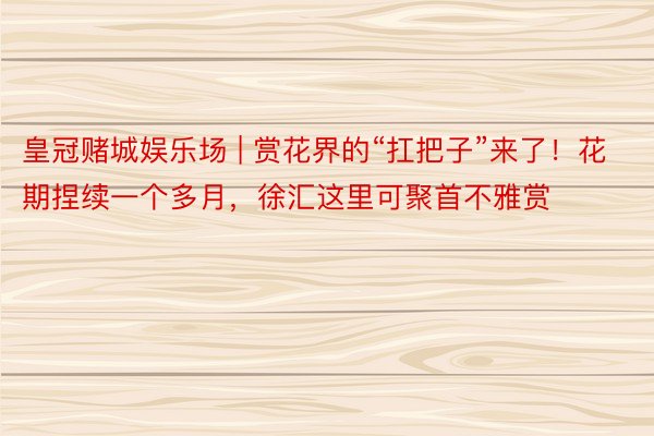 皇冠赌城娱乐场 | 赏花界的“扛把子”来了！花期捏续一个多月，徐汇这里可聚首不雅赏